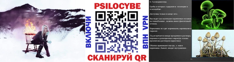 OMG tor  Дедовск  Галлюциногенные грибы мухоморы  наркота 
