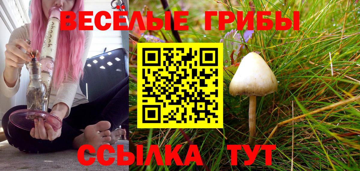 Псилоцибиновые грибы Psilocybe  Вход с VPN  Дедовск 